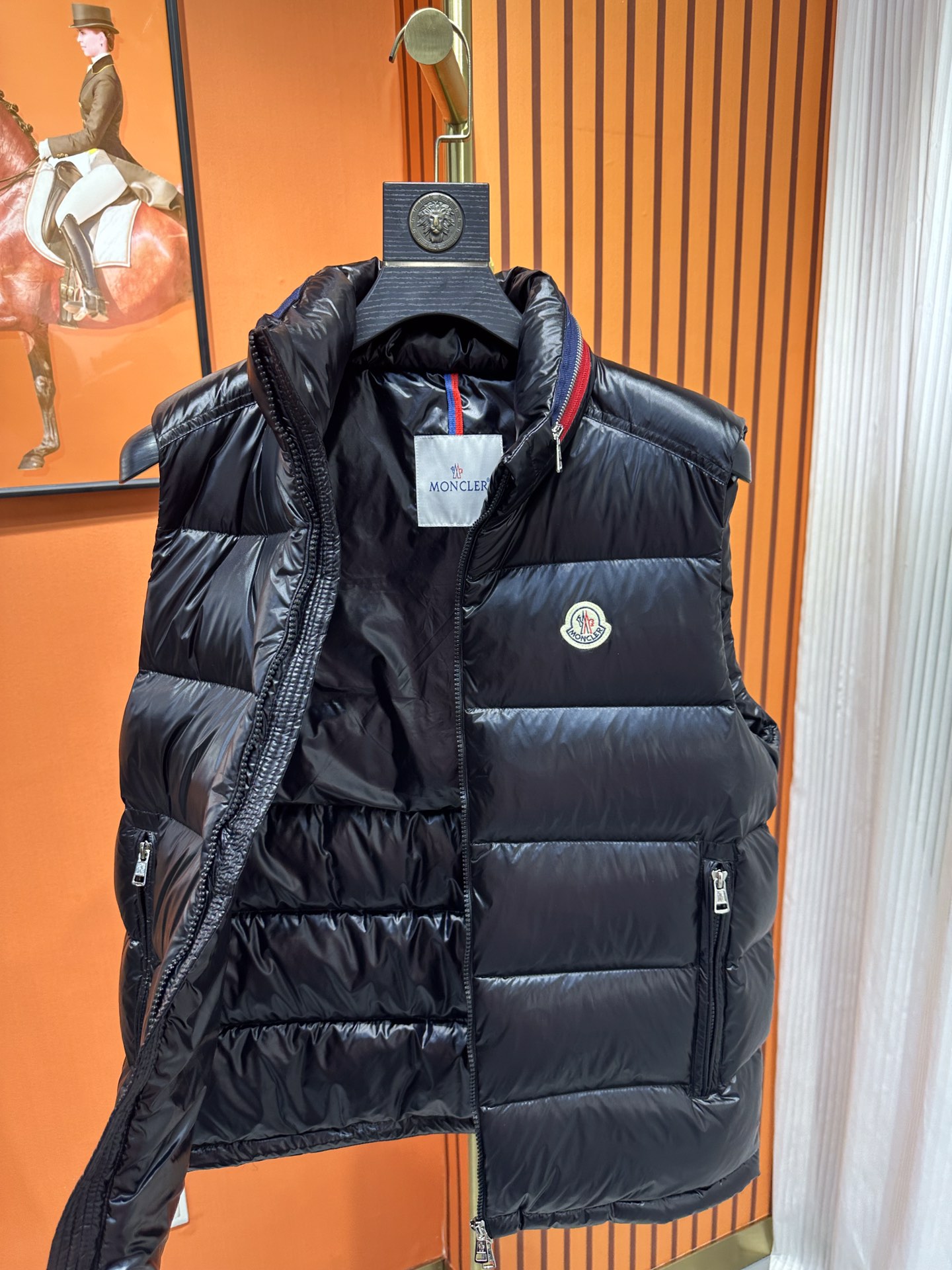 Moncler Down Jackets